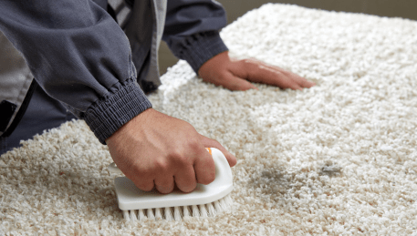 Professional Rug Cleaning Bangholme